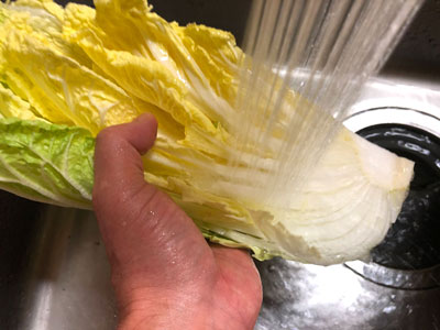 白菜を洗う
