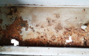 消火栓ボックス01